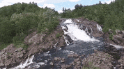 sudbury GIF by Laurentian University
