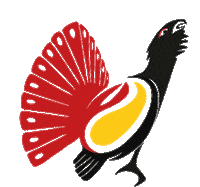 Rugby Match Sticker by RugbyBergamo