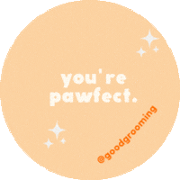 GoodGrooming giphyupload Sticker