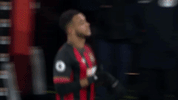 Football Soccer GIF by AFC Bournemouth