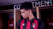 Football Soccer GIF by AFC Bournemouth
