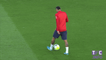ligue 1 soccer GIF by Toulouse Football Club