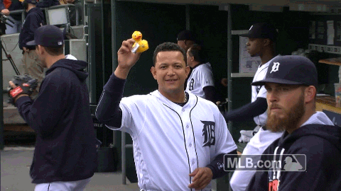 Major League Baseball Reaction GIF by Detroit Tigers