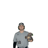 Clarke Baseball Sticker by Clarke University