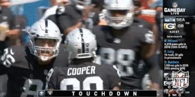 Oakland Raiders Football GIF by NFL