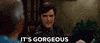 it's gorgeous step brothers GIF