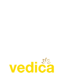 Fullofaltitude Sticker by Bisleri Vedica