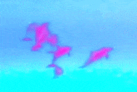 glitch vhs GIF by Caitlin Burns