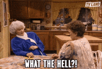 Golden Girls Rose GIF by TV Land