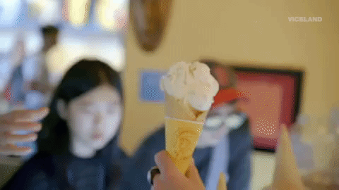 viceland GIF by THE ICE CREAM SHOW