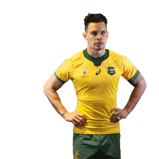 Rugby World Cup Dance Sticker by Wallabies Official