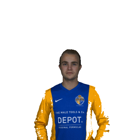blauwgeel football voetbal veghel zaterdagvoetbal Sticker