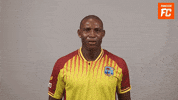 Cricket GIF by FanCode