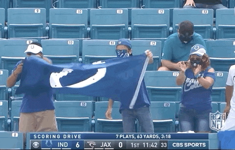 Regular Season Football GIF by NFL