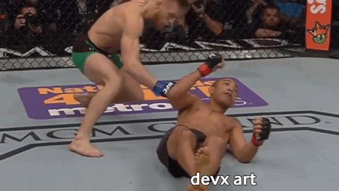 Conor Mcgregor Knockout GIF by DevX Art