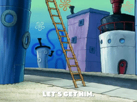 season 5 GIF by SpongeBob SquarePants