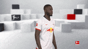 Posing Line Up GIF by Bundesliga