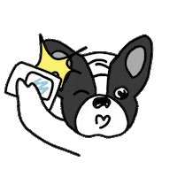 happy fun Sticker by Ivo Adventures