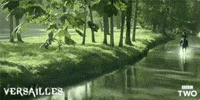 bbc horse bbc bbc two versailles GIF