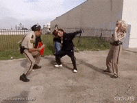 reno 911 GIF