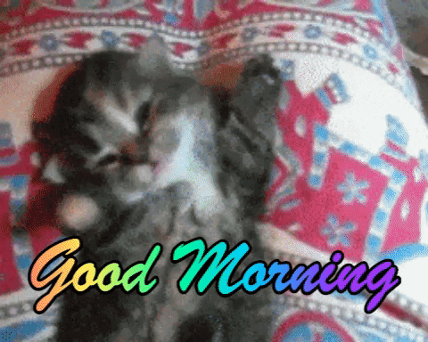 Video gif. Looking down at a kitten that lies on its back, it yawns and stretches it paws over its head. Rainbow text flashes, "Good morning."