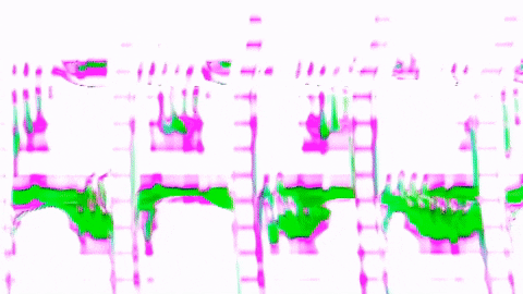 Video Art GIF by cskonopka