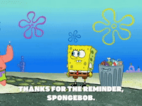 season 8 episode 3 GIF by SpongeBob SquarePants