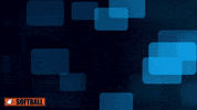 Carson Newman X GIF by Carson-Newman Athletics