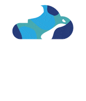 Water Rain Sticker by Bivo