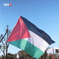 Flag Help GIF by TRT