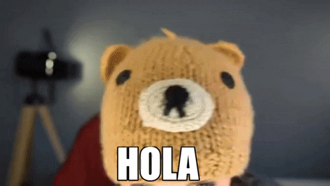 Fiesta Saludo GIF