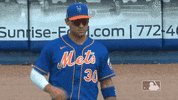 Represent Ny Mets GIF by New York Mets