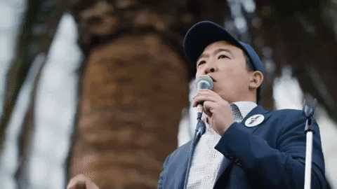 Andrew Yang GIF