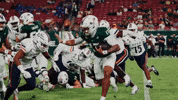 College Football GIF by USF Athletics