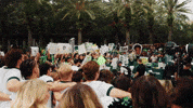 College Football GIF by USF Athletics