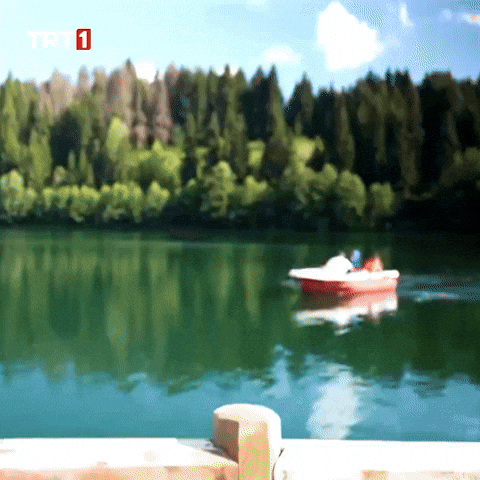 Water Sea GIF by TRT