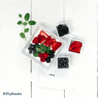 nom nom diet GIF by Alaska Airlines