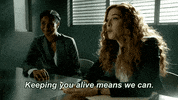 fox innocentonfox GIF by Proven Innocent