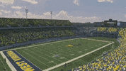 Ncaa Sports College GIF by WVU Sports