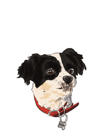 Edo Caroe Dallas Sticker