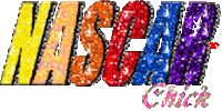 car nascar Sticker