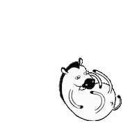 Locupanye confused horse spin spinning Sticker