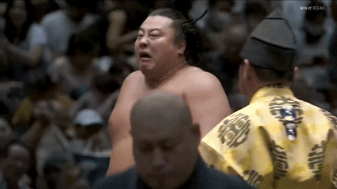 TZ85 giphyupload sumo 2023 aki basho tobizaru GIF