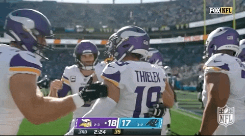 Minnesota Vikings Football GIF by NFL
