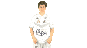 Thumbs Up Sticker by Voltigeurs Castelbriantais