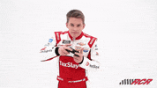 Video Games Nascar GIF by Richard Childress Racing