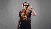 Summer Sunglasses GIF by Rogue