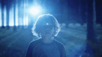 TheAvenue_Film fantasy florida tiger zoo GIF