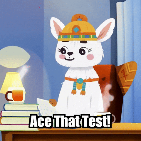 Education Study GIF by Llamaozi