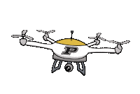 Flying Black And Gold Sticker by Purdue University